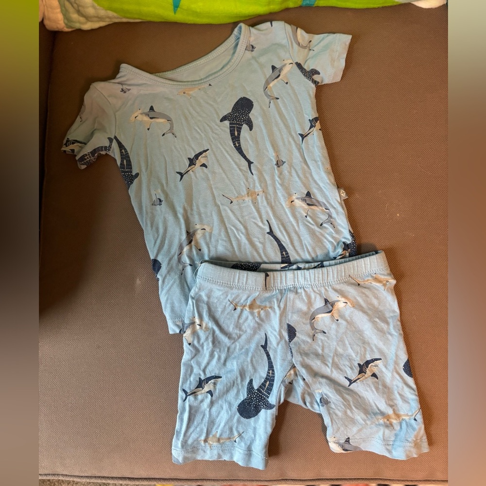 Kyte stream shark short set